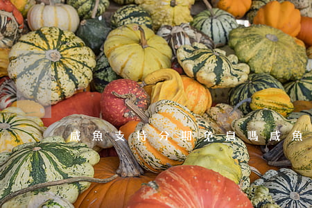 咸魚支持分期免息嗎（咸魚支持分期免息嗎）