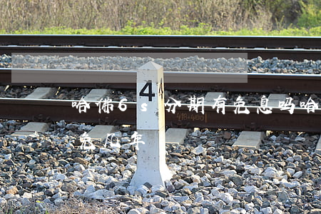 哈佛6s分期有免息吗(哈佛h6分期免息能免几年)