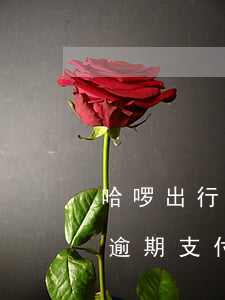 哈啰出行逾期支付不了怎么投訴-哈啰出行逾期支付不了怎么投訴電話