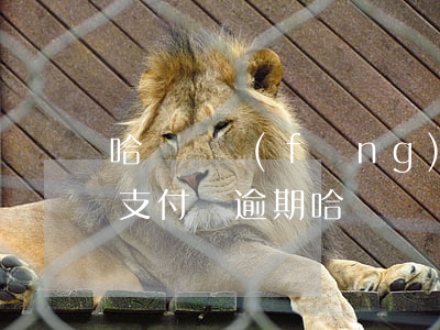 哈啰順風(fēng)車提現(xiàn)支付寶逾期(哈啰順風(fēng)車提現(xiàn)支付寶逾期)