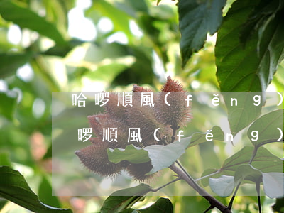 哈啰順風(fēng)車支付寶逾期了-哈啰順風(fēng)車遲到多久判責(zé)