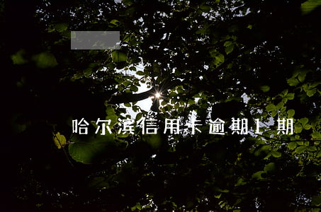 哈尔滨信用卡逾期1期