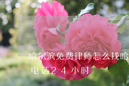 哈尔滨免费律师怎么找(哈尔滨免费律师咨询电话24小时)