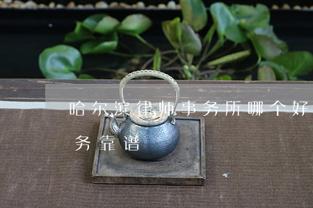 哈尔滨律师事务所哪个好(哈尔滨哪个律师事务靠谱)