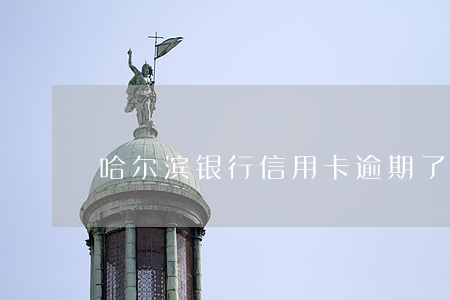 哈尔滨银行信用卡逾期了