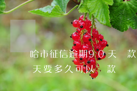 哈市征信逾期90天貸款(征信逾期超過90天要多久可以貸款)