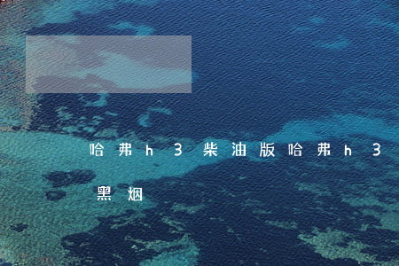 哈弗h3柴油版(哈弗h3柴油版加大油门冒黑烟)