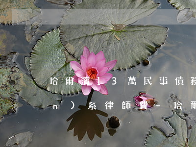 哈爾濱13萬民事債務(wù)關(guān)系律師費-哈爾濱債務(wù)糾紛律師