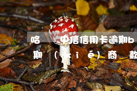 哈爾濱中信信用卡逾期b-哈爾濱信用卡逾期協(xié)商還款