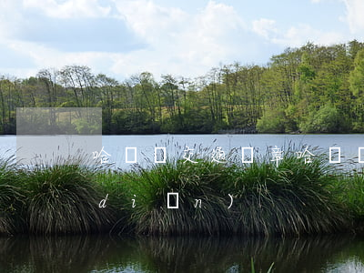 哈爾濱交通違章，哈爾濱交通違章處理地點(diǎn)