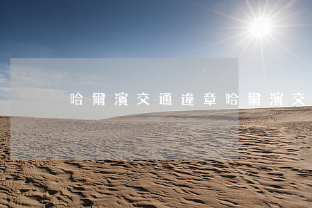 哈爾濱交通違章,哈爾濱交通違章處理地點 哈爾濱交通違章,哈爾濱交通違章處理地點