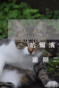 哈爾濱信用卡逾期2個月(哈爾濱銀行信用卡逾期二個月后給聯(lián)系人發(fā)短信)