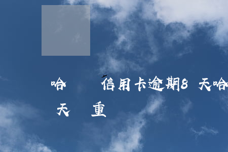 哈爾濱信用卡逾期8天(哈爾濱信用卡逾期8天嚴重嗎)