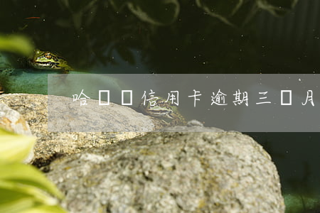 哈爾濱信用卡逾期三個月(信用卡逾期3個月)