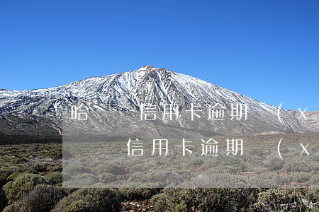 哈爾濱信用卡逾期協(xié)商還款-哈爾濱信用卡逾期協(xié)商還款發(fā)完材料通過(guò)幾率大么
