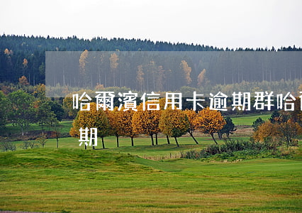 哈爾濱信用卡逾期群 哈爾濱信用卡幾天算逾期