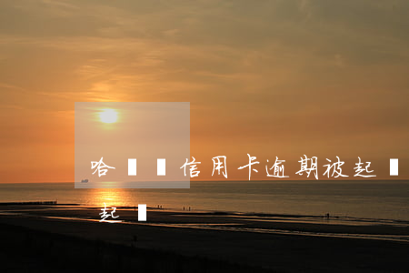 哈爾濱信用卡逾期被起訴(哈爾濱銀行信用卡起訴)