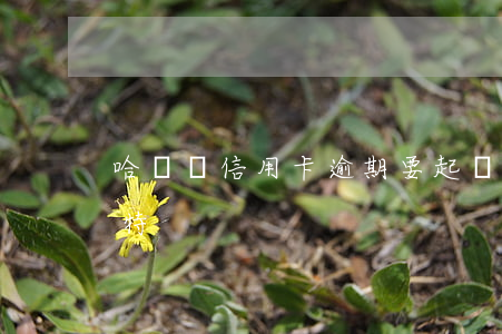 哈爾濱信用卡逾期要起訴（信用卡逾期呼和浩特）