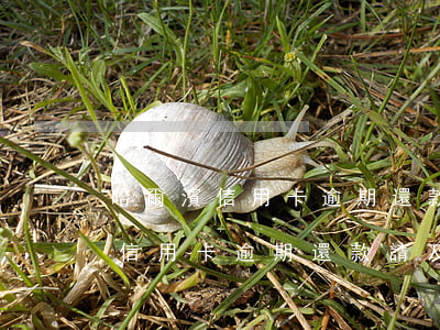 哈爾濱信用卡逾期還款電話，緊急提醒：哈爾濱信用卡逾期還款，請及時撥打以下電話進行處理
