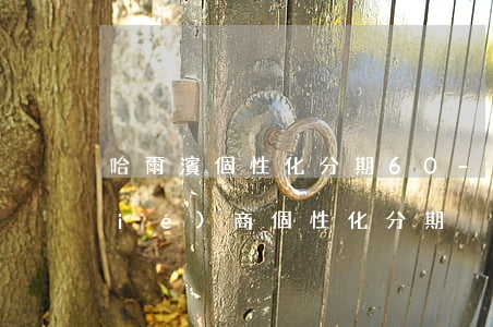 哈爾濱個性化分期60-哈爾濱銀行協(xié)商個性化分期