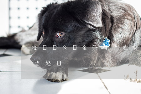 哈爾濱公積金信用卡逾期(哈爾濱信用卡逾期要起訴)