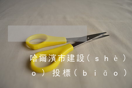 哈爾濱市建設(shè)工程招標(biāo)投標(biāo)管理辦法內(nèi)容有哪些