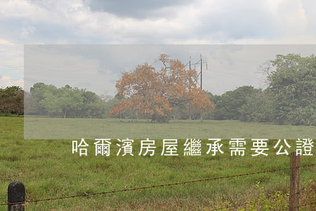 哈爾濱房屋繼承需要公證嗎(宅基地繼承公證)