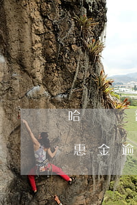 哈爾濱普惠金逾期了還可以用嗎-哈爾濱普惠金逾期了還可以用嗎現(xiàn)在