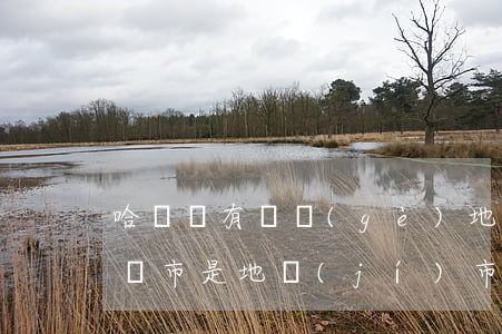 哈爾濱有幾個(gè)地級(jí)市(哈爾濱市是地級(jí)市嗎)