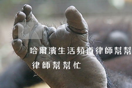 哈爾濱生活頻道律師幫幫忙(哈爾濱生活頻道律師幫幫忙)