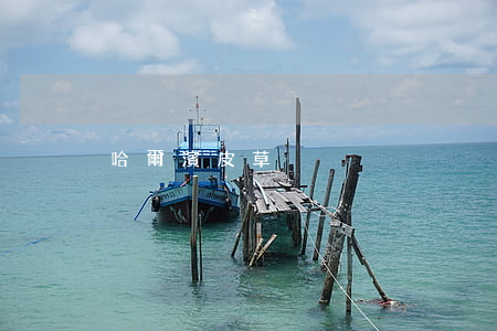 哈爾濱皮草
