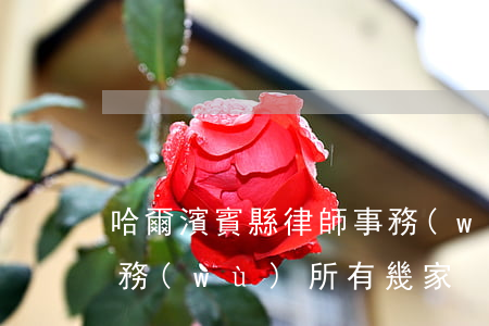 哈爾濱賓縣律師事務(wù)所(賓縣律師事務(wù)所有幾家)
