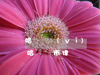 哈爾濱醫(yī)療糾紛專業(yè)律師(哈爾濱市律師)
