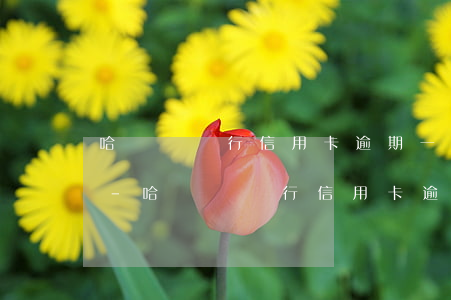 哈爾濱銀行信用卡逾期一天會有不良記錄嗎-哈爾濱銀行信用卡逾期一天會有不良記錄嗎