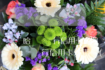 哈爾濱銀行信用卡逾期協(xié)商(哈爾濱銀行信用卡逾期協(xié)商)
