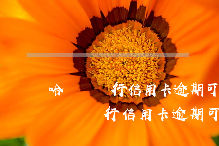 哈爾濱銀行信用卡逾期可以減免還款嗎-哈爾濱銀行信用卡逾期可以減免還款嗎
