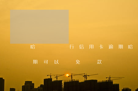 哈爾濱銀行信用卡逾期(哈爾濱銀行信用卡逾期可以減免還款嗎)