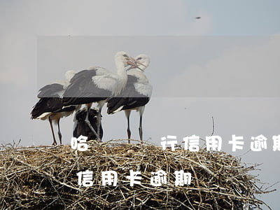 哈爾濱銀行信用卡逾期訴訟案例（哈爾濱銀行信用卡逾期訴訟）