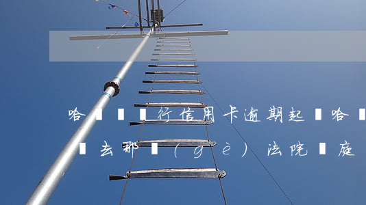 哈爾濱銀行信用卡逾期起訴 哈爾濱信用卡起訴去那個(gè)法院開庭