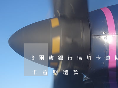 哈爾濱銀行信用卡逾期還款 哈爾濱銀行信用卡逾期還款