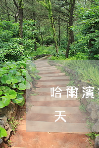 哈爾濱銀行房貸逾期9天(哈銀金融逾期了一天)