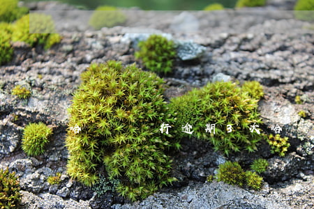 哈爾濱銀行逾期3次(哈爾濱銀行逾期3次)