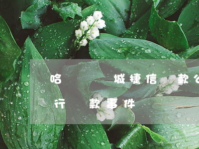 哈爾濱雙城捷信貸款公司(哈爾濱銀行雙城支行貸款事件)