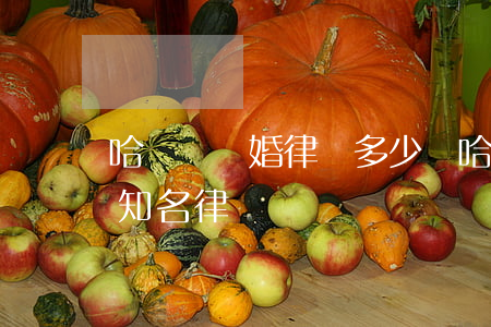 哈爾濱離婚律師多少錢(哈爾濱打離婚官司的知名律師)