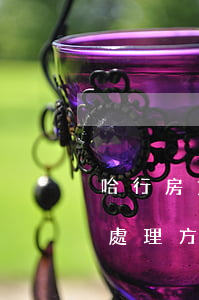 哈行房貸逾期一天怎么辦(房貸逾期一天怎么處理方法)
