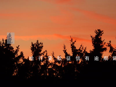 哈行貸款征信有逾期(銀行信用貸款逾期)