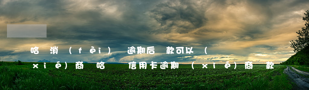 哈銀消費(fèi)貸逾期后還款可以協(xié)商嗎(哈爾濱信用卡逾期協(xié)商還款)