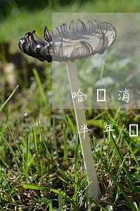 哈銀消費金融逾期立案(哈銀消費金融逾期了半年時間會有上門來追債嗎)