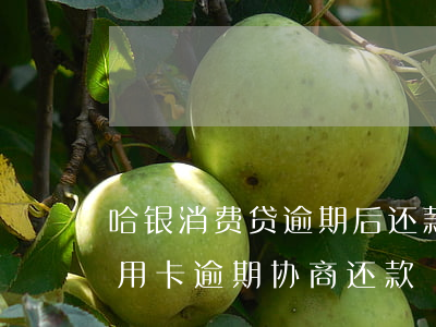 哈银消费贷逾期后还款可以协商吗(哈尔滨信用卡逾期协商还款)