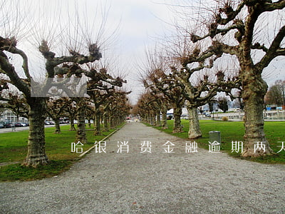 哈银消费金融逾期两天就威胁（哈银消逾期）